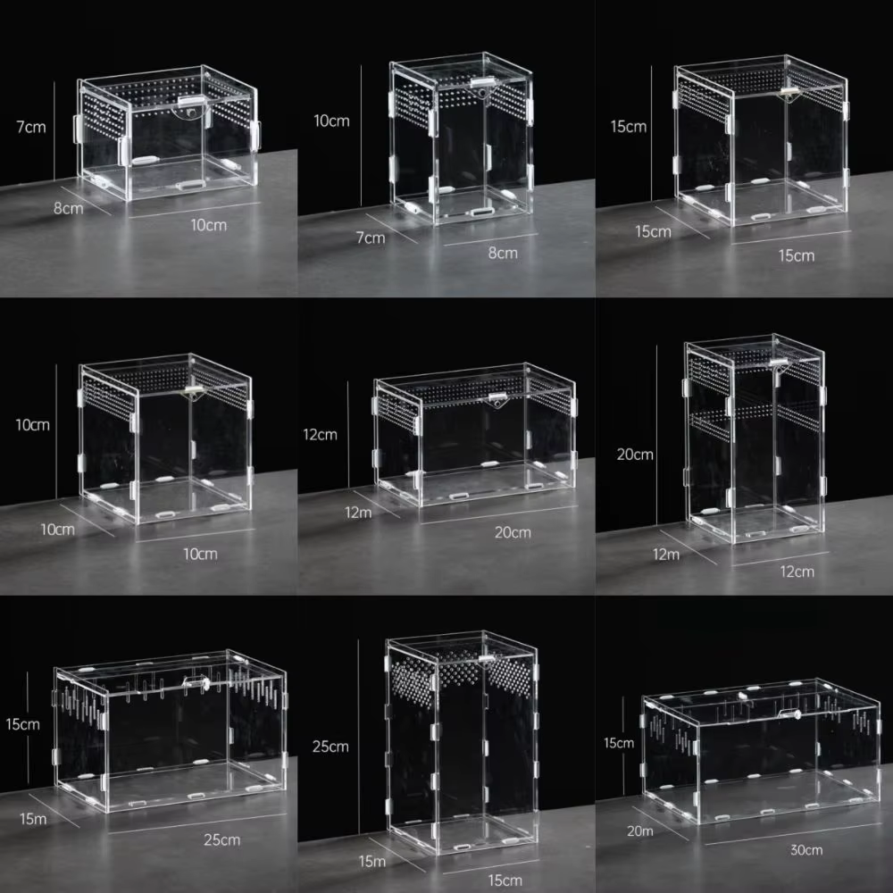 Caja de Acuario para Reptiles Anti-Evasión Claro para Arácnidos y Pequeños Animales, Diseño Moderno Transparente — imagen 6