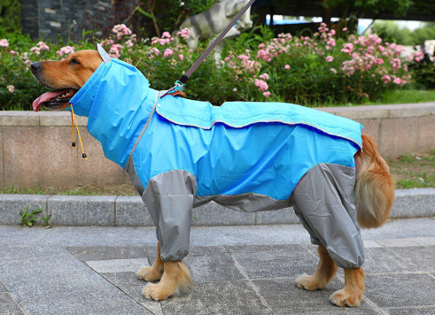 Raincoat Big Dog Golden Retriever Dog Satsuma Border Collie Medium And Large Dogs Full Package Four Feet Pet Waterproof Big Dog Clothes — image 7