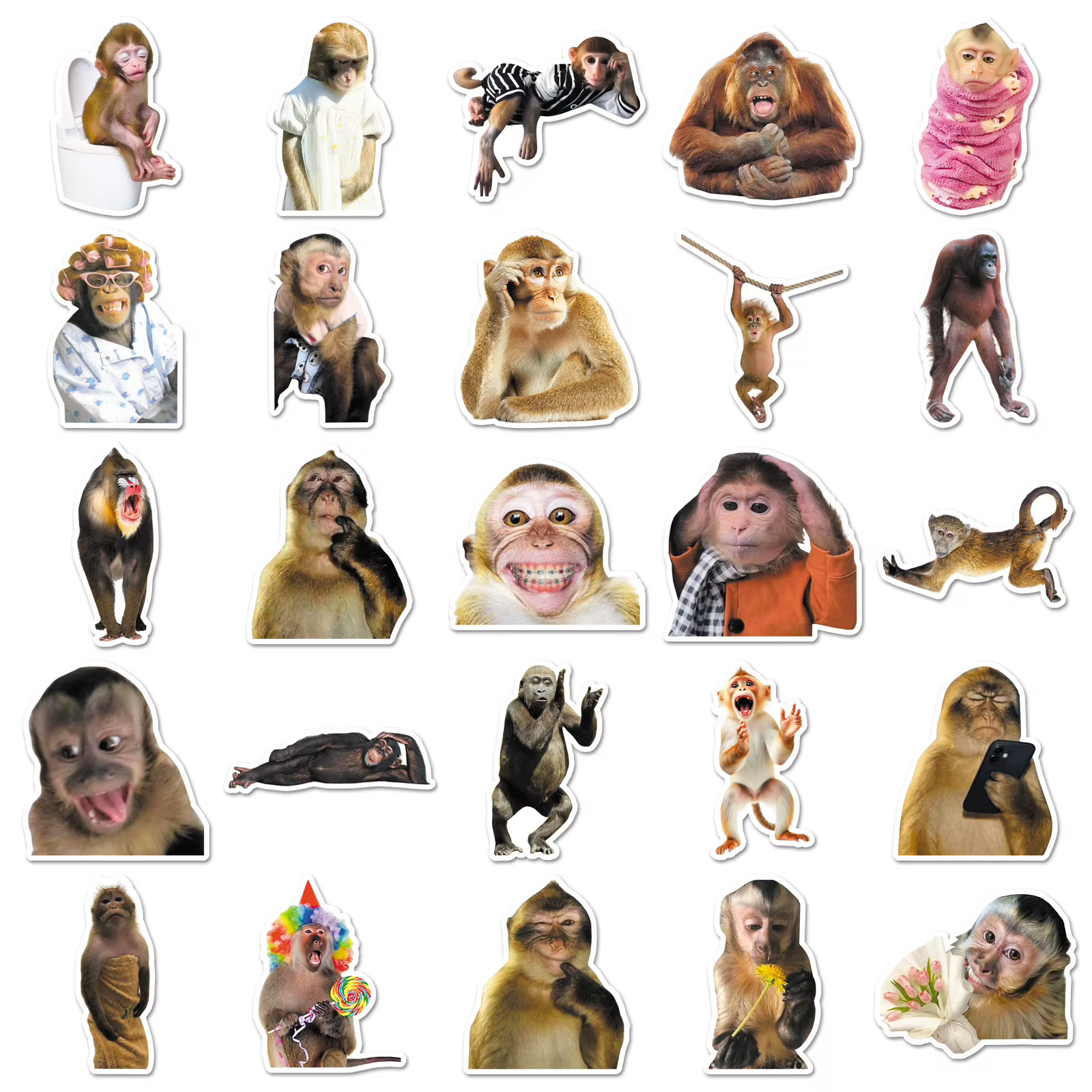 50PCS Funny Monkey Chimpanzees Meme Stickers Realistic Graffiti Decoration DIY Notebook Suitcase Guitar Refrigerator Toys Decals — image 1