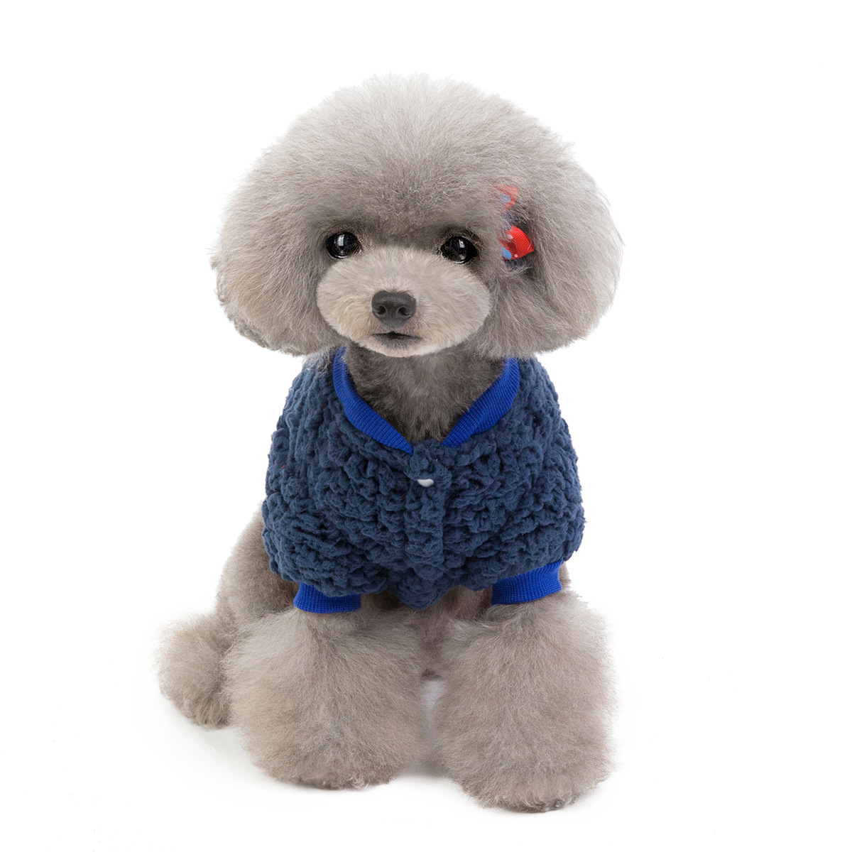 Ropa para mascotas: ropa de gatos y perros — imagen 7
