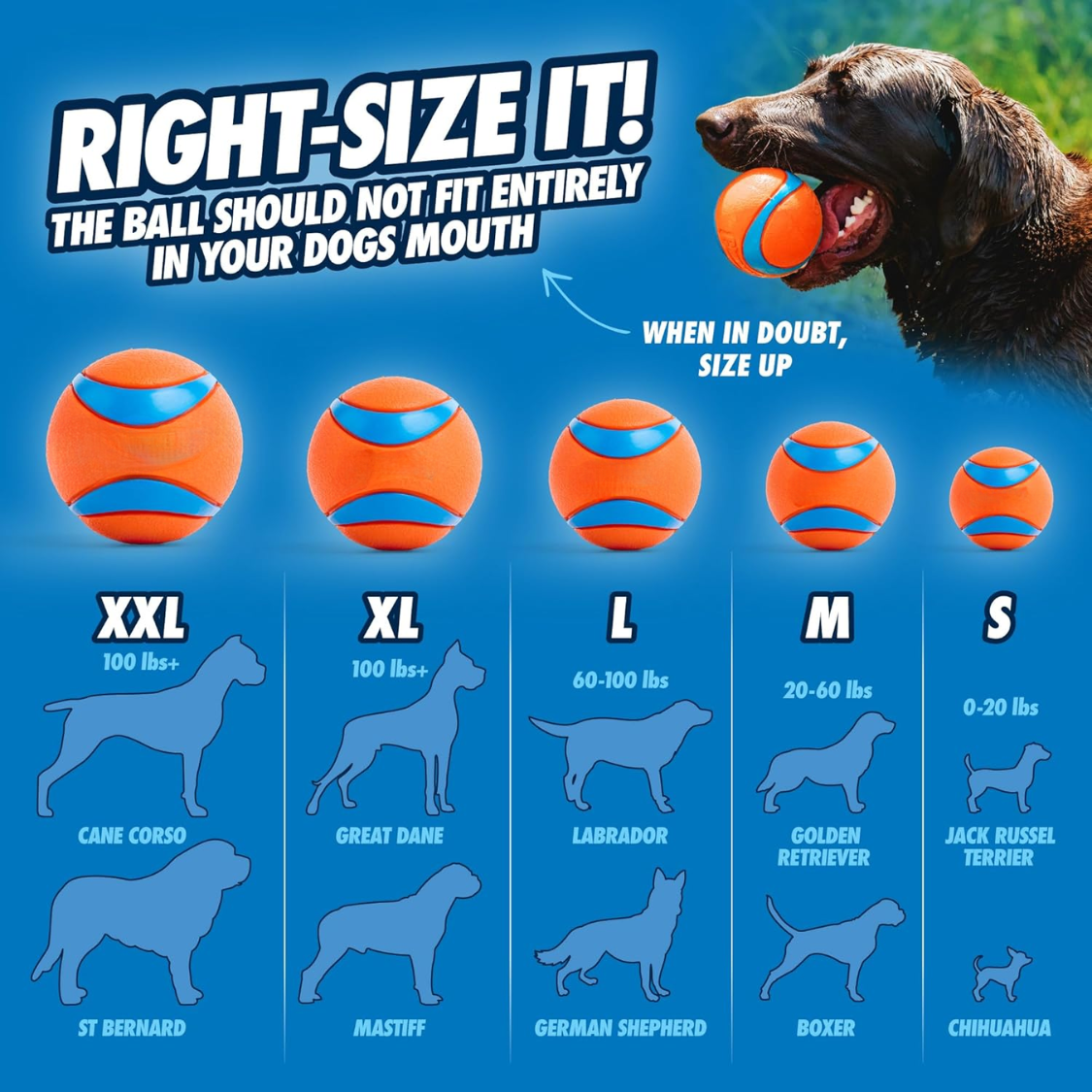 Pelota Ultra para Perros - Medio - Bolas de Fútbol para Perros de 20-60 Lbs - Hechas de Goma Duradera - Juguetes Acuáticos para Mascotas - Tamaño Medio - Diámetro de 2.5 pulgadas - Paquete de 4 — imagen 4