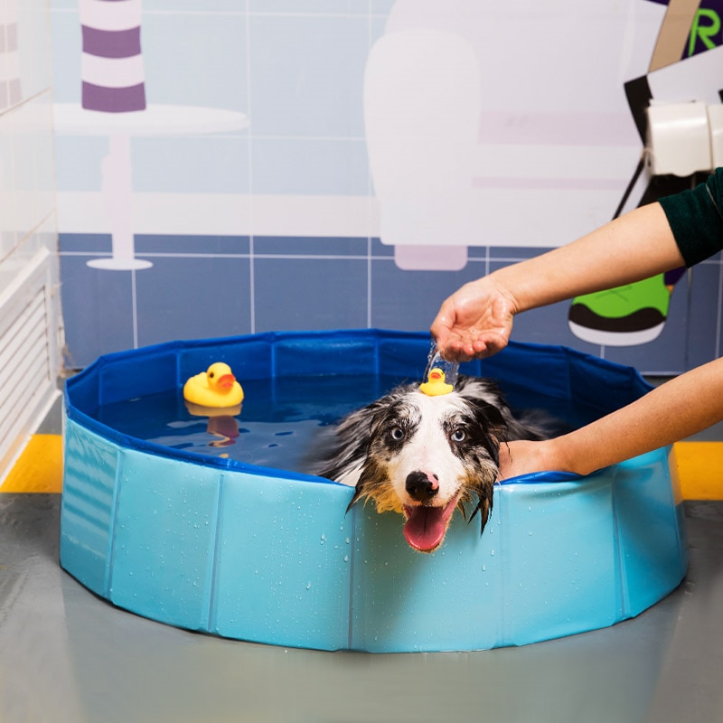 Foldable Dog Pool Pet Bath Summer Outdoor Portable Swimming Pools Indoor Wash Bathing Tub Collapsible Bathtub for Dogs Cats Kids — image 1