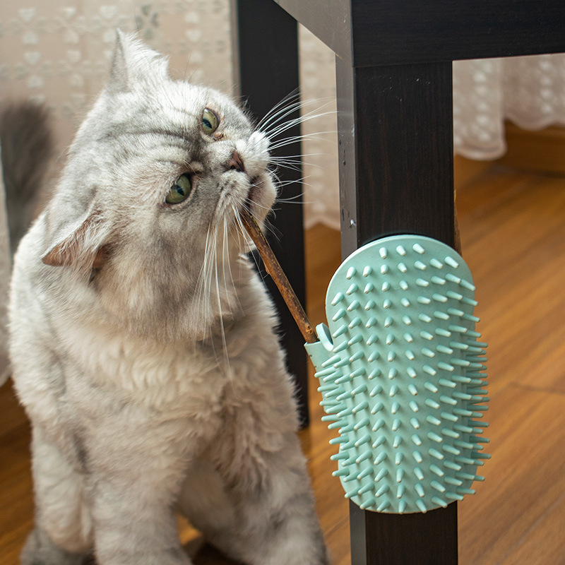 Corner Rubbing Device Rubbing Itching Massage Comb Cat Toy Teasing Cat Stick Pet Cat Supplies — image 1