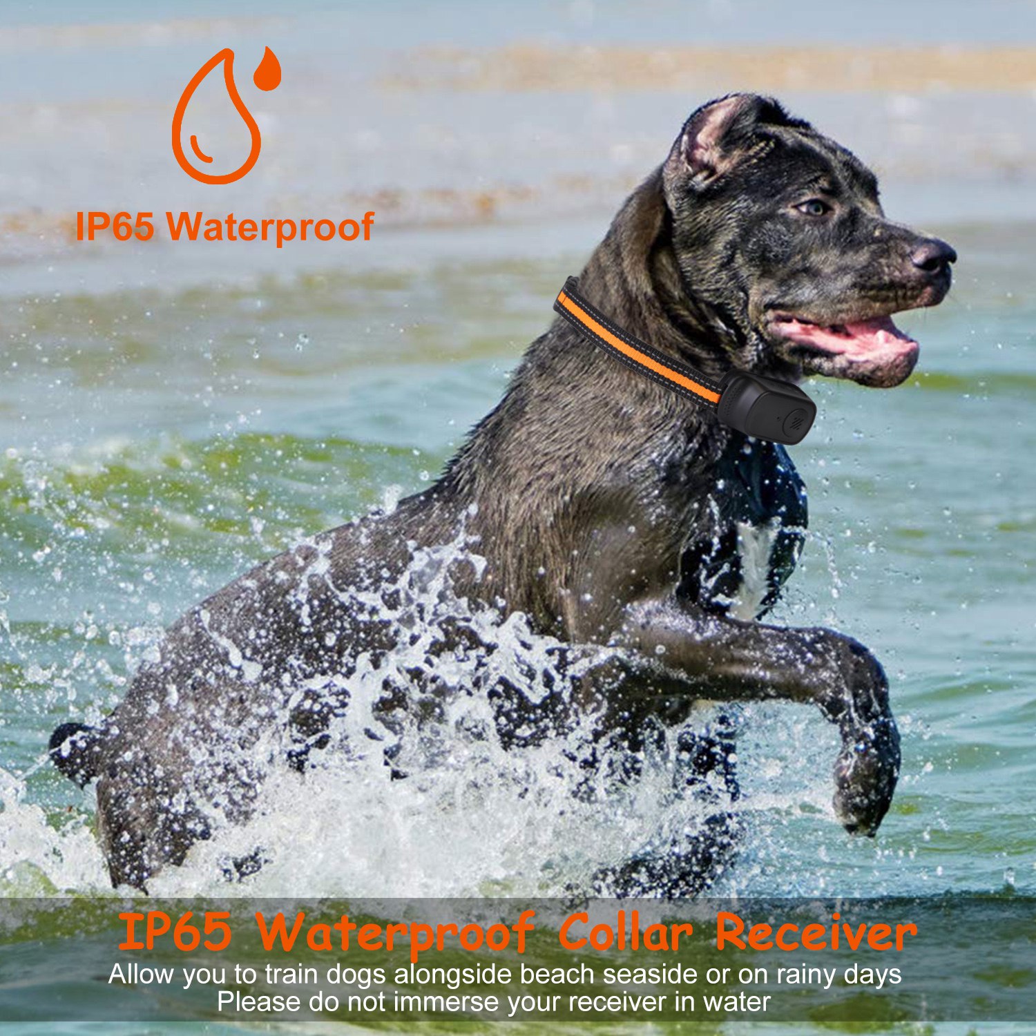 Collar de Adiestramiento para Perros IP65 Resistente al Agua con Voz, Vibración y Corrección Eléctrica - 3 Canales, Transmisor Recargable con Grabación y Bloqueo de Teclado — imagen 13