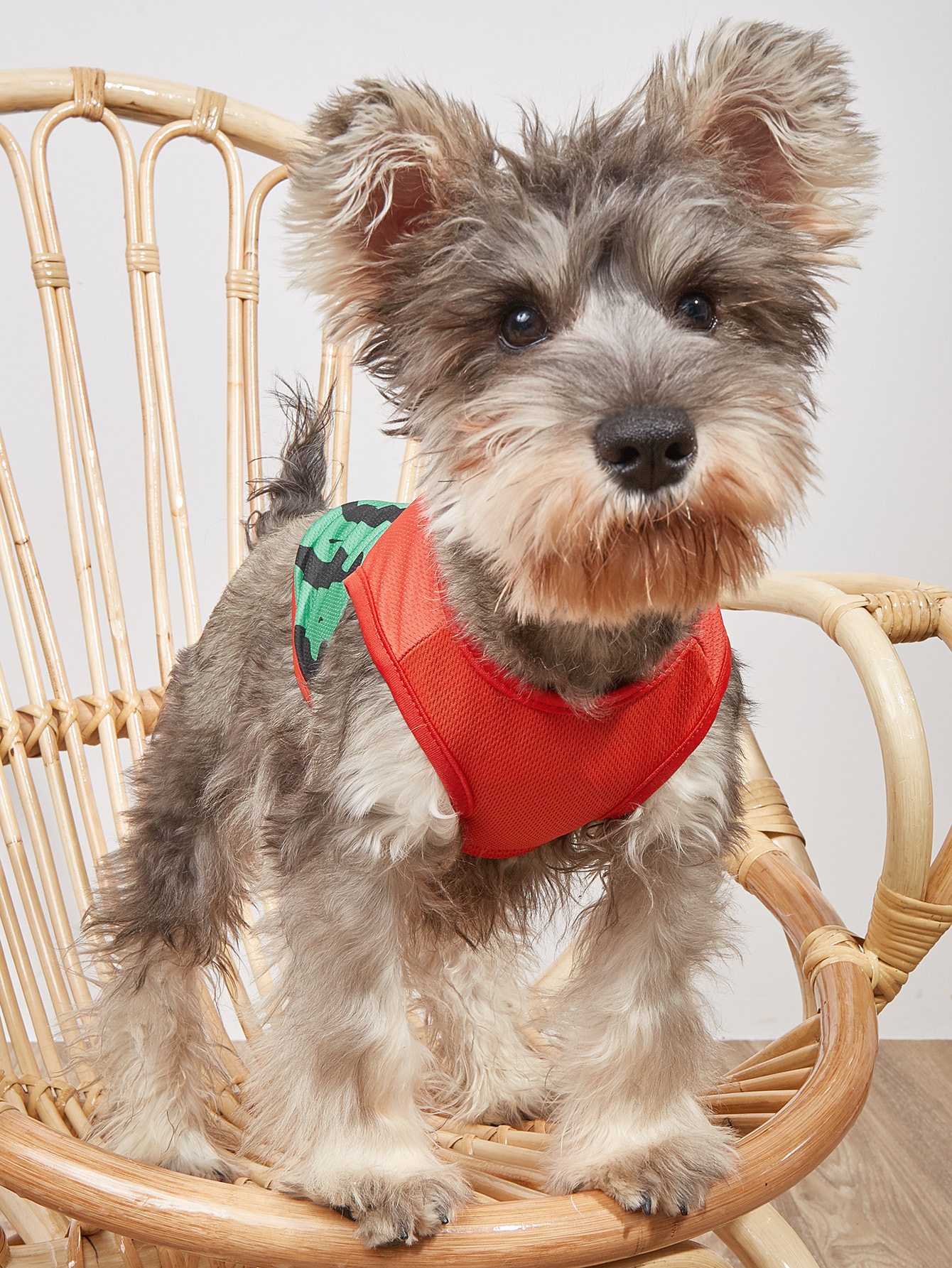 Vestido de Animales Infantiles delgado para Pequeños Perros Gatos Teddy Mascotas Ropa de Accesorio para Mascotas — imagen 2