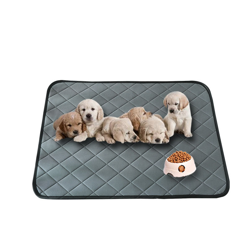 Pañales de orina para mascotas lavables y fáciles de secar - Pañales absorbentes instantáneos para entrenamiento de gatos y perros — imagen 1