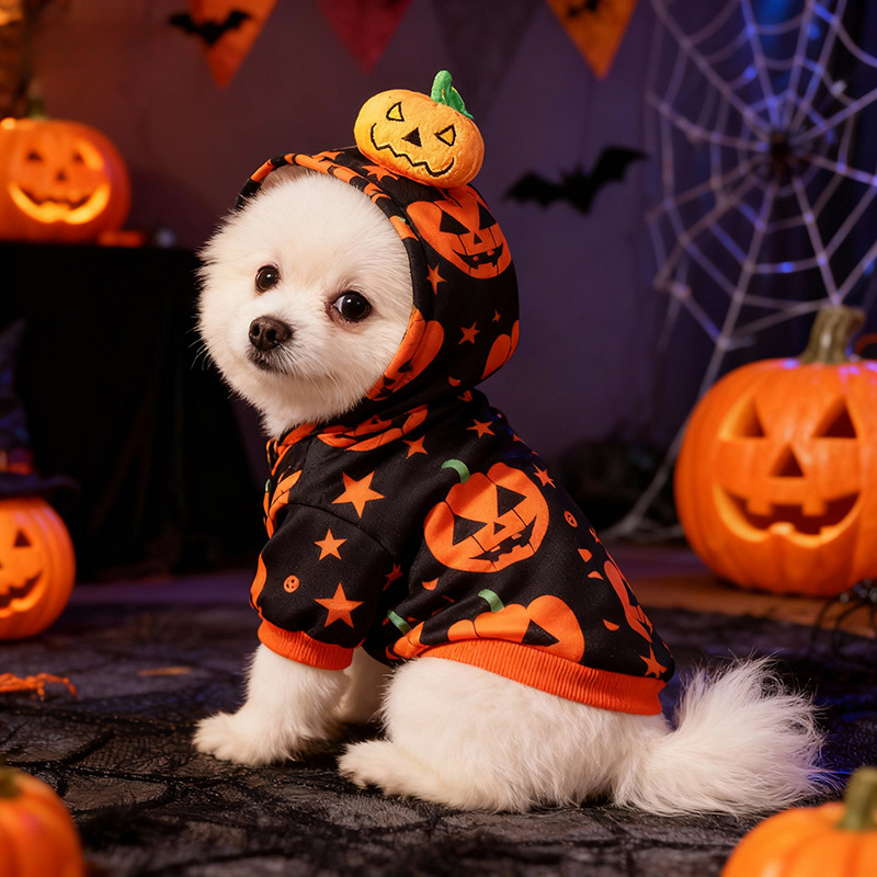 Halloween Pet Dog Clothes Cat Dog Halloween Pumpkin Two-Legged Hoodie Sweatshirt for Medium and Small Dogs Teddy — imagen 2