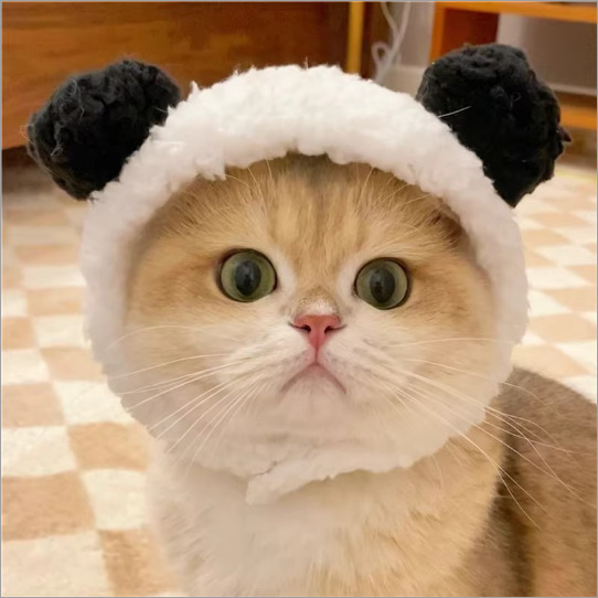 Sombrero para mascotas con orejas expuestas anti-pérdida de pelo ajustable sombrero pequeño para perros — imagen 18