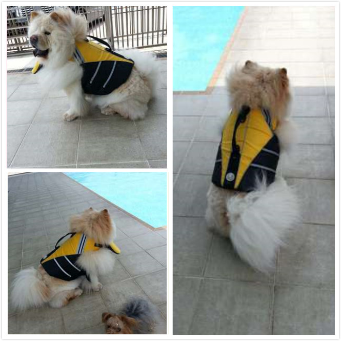 Professional Pet Life Vest Swimming Clothes Dog Outdoor Supplies Large Dog Buoyancy Swimsuit — image 19