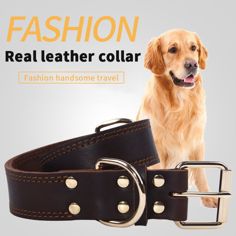 Collar de Cuero de Vacuno Vintage con Broche de Cobre Dorado para Perros Alemanes Sabuesos, Tamaño Medio y Grande — imagen 1