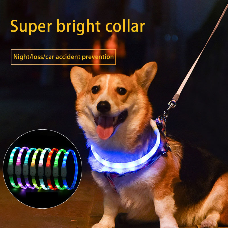 Collar Luminoso para Mascotas Collar de Mascota Carga USB DIY Collar de Perro Luminoso Collar de Cuello Seguro para Caminar con Perros — imagen 1