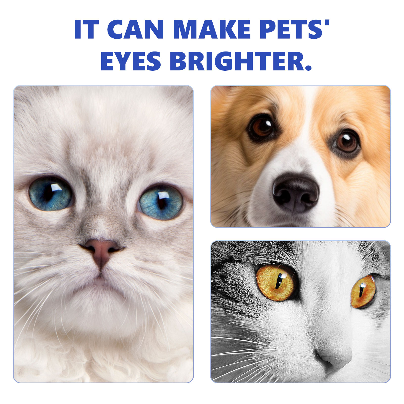 Yegbong Pet Eye Drops, Cats And Dogs Eye Cleaning Care Pet Eye Wash Tear Stain Remover — image 5