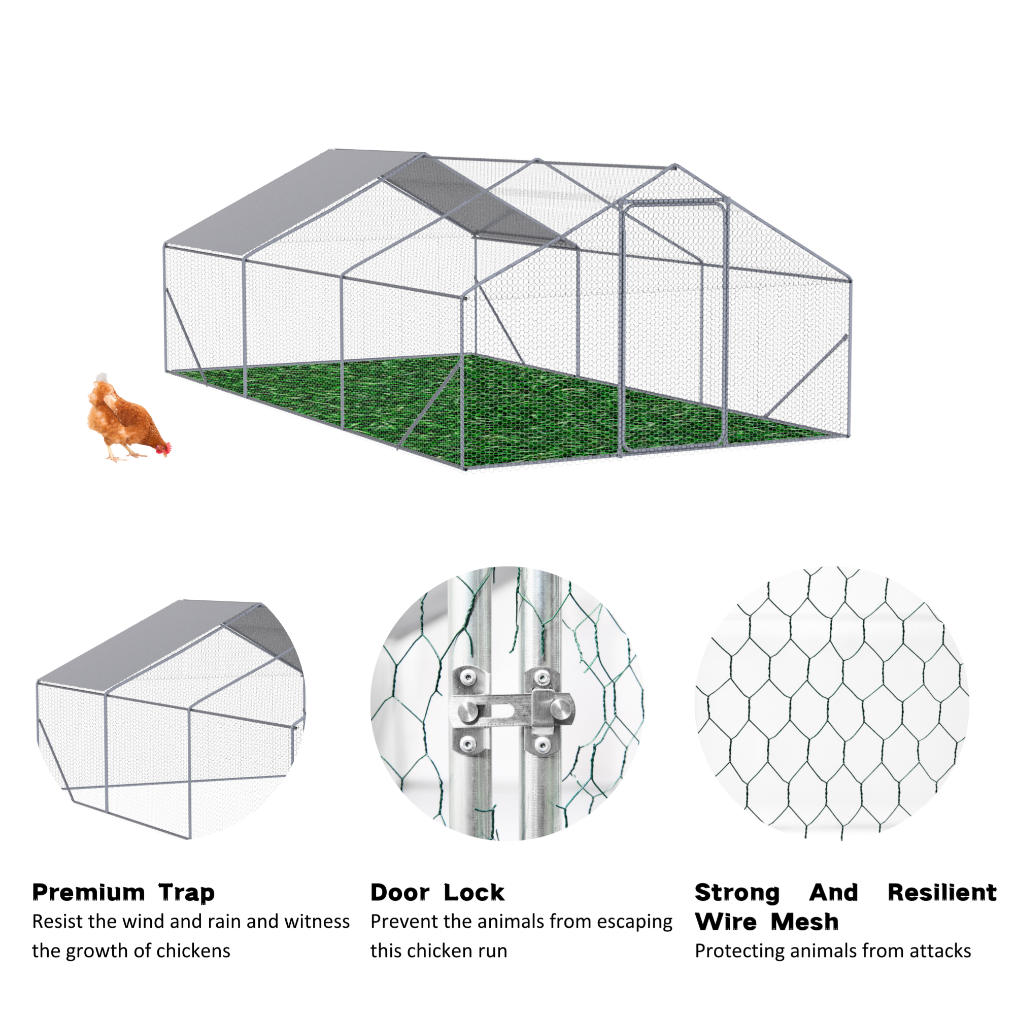 Cubo de Pollos al Aire Libre XPT035 Metal Grande Espacio 20x10x6 FT 3 Unidades para Uso Exterior en Granjas — imagen 3