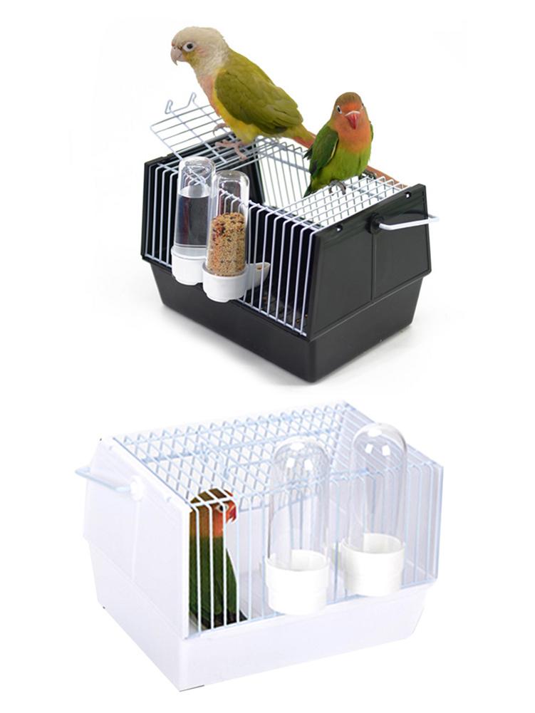 Out of the bird cage — image 5