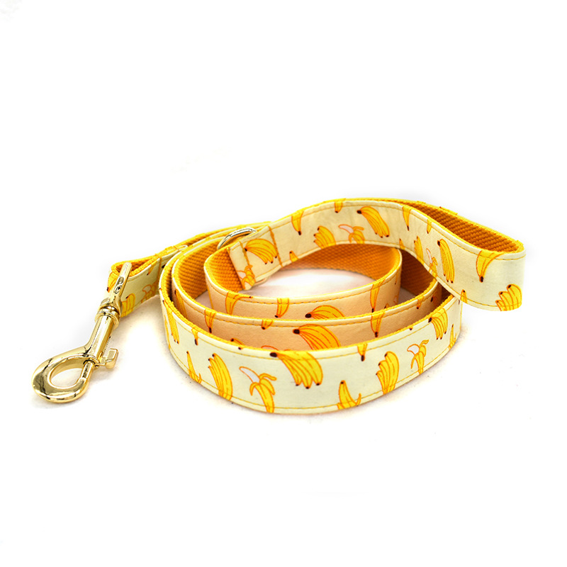 Collar de Trazo Amarillo para Perros con Cuerda de 1.5m y Broche de Oro Personalizable — imagen 4
