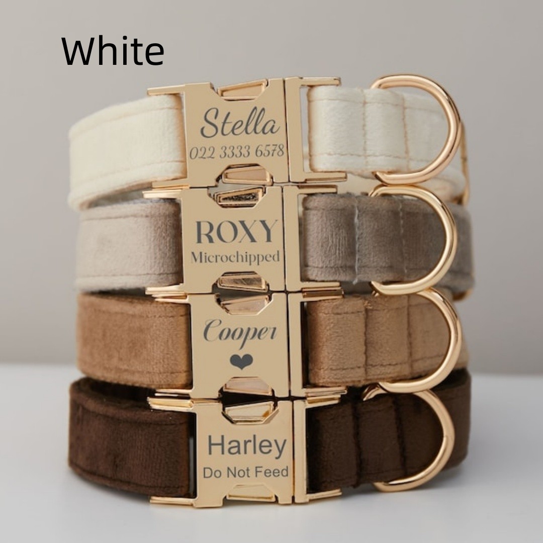 Conjunto de Cuerda y Collar de Tela de Algodón con Broche Metálico y Lazo Personalizable para Perros en Varios Colores — imagen 19
