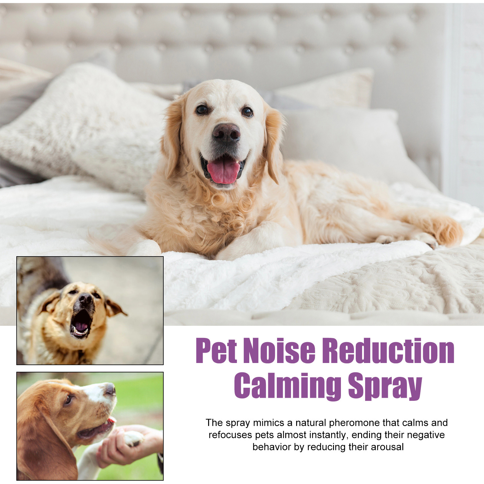 Spray Calmante para Mascotas, Reduzca Ladridos y Comportamiento Ansioso, Lavanda y Manzanilla, 50ml — imagen 5