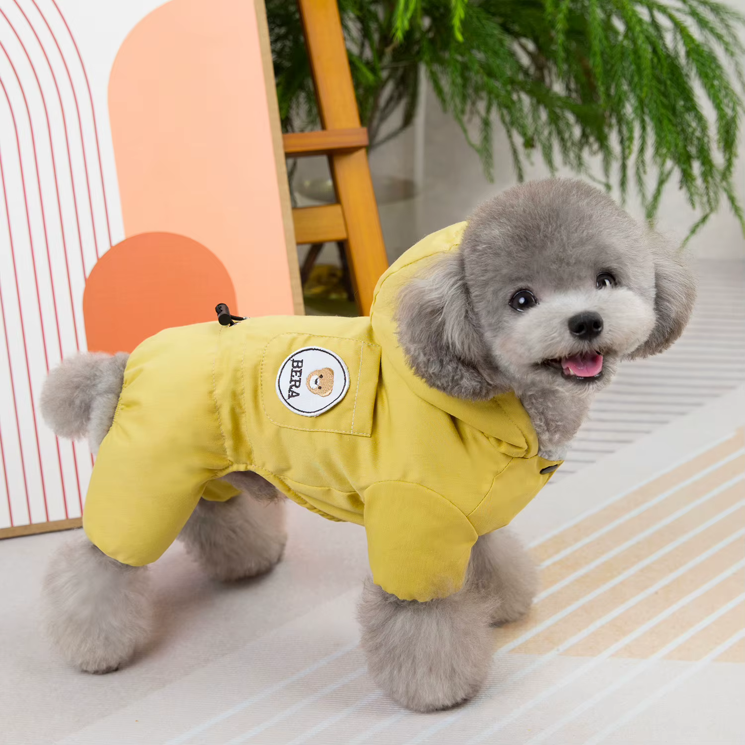 Pet clothes pet dog fotton-padded coat autumn and winter new pet clothing 24 college four-legged cotton-padded coat — image 4