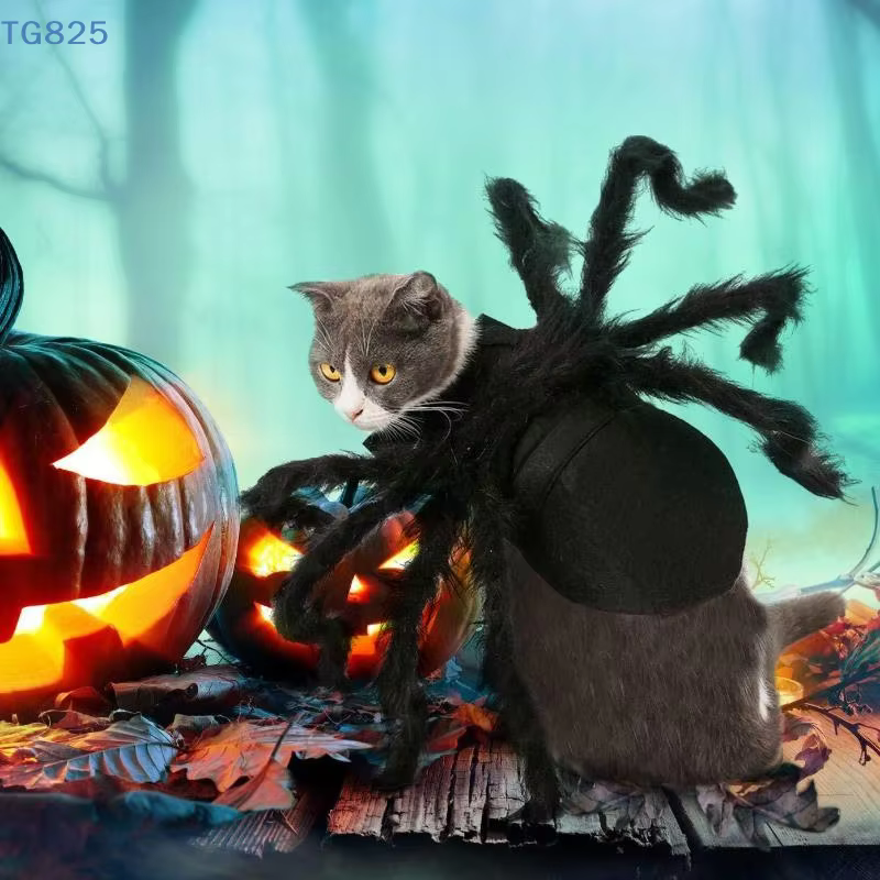 Disfraz de Araña para Mascotas: Transformación de Halloween con Ropa de Cosplay — imagen 3