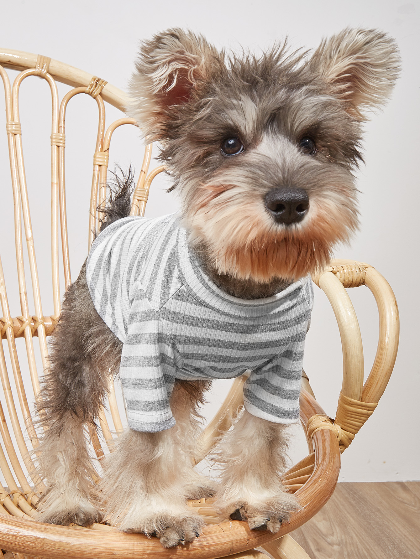 Ropa de Mascotas Nueva con Estampados de Rayas para Primavera y Verano, Camiseta Corte Adornado para Pomeranian, Vestimenta VIP para Perros Pequeños — imagen 3