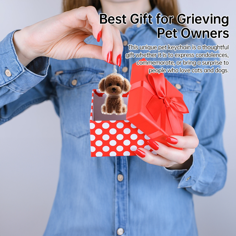 A transparent DIY pet hair memorial keychain box, a sweet keepsake for dog lovers — image 11