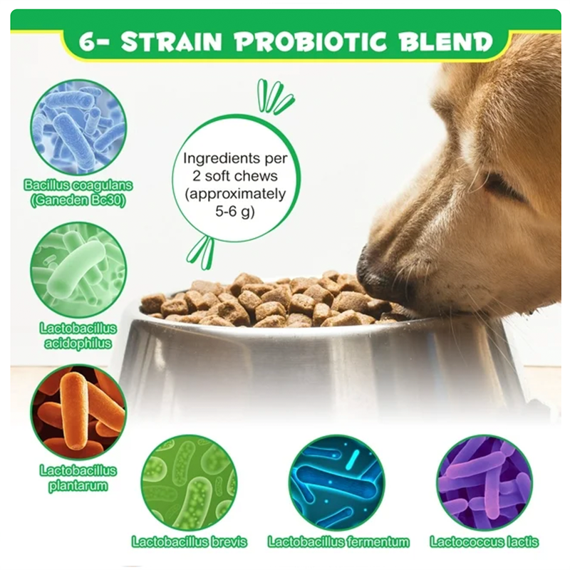 Chewitos de Probióticos OEM - Ventas Calientes para Mascotas, Forma Personalizada para Salud Digestiva Canina — imagen 5