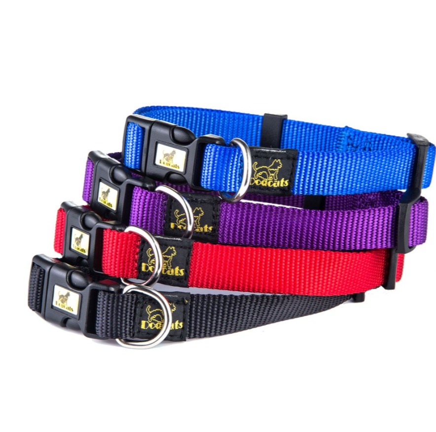 New Dog Nylon Collar (Including Leash) Set European And American Fashion Pet Supplies — image 1