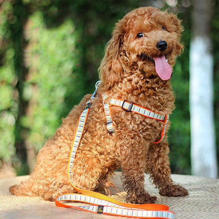 New Pet Supplies Dog Striped Nylon Chest And Back (Including Leash) Cover — image 1