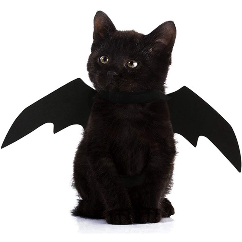 Alas de Murciélago para Mascotas: Decoración de Halloween — imagen 5