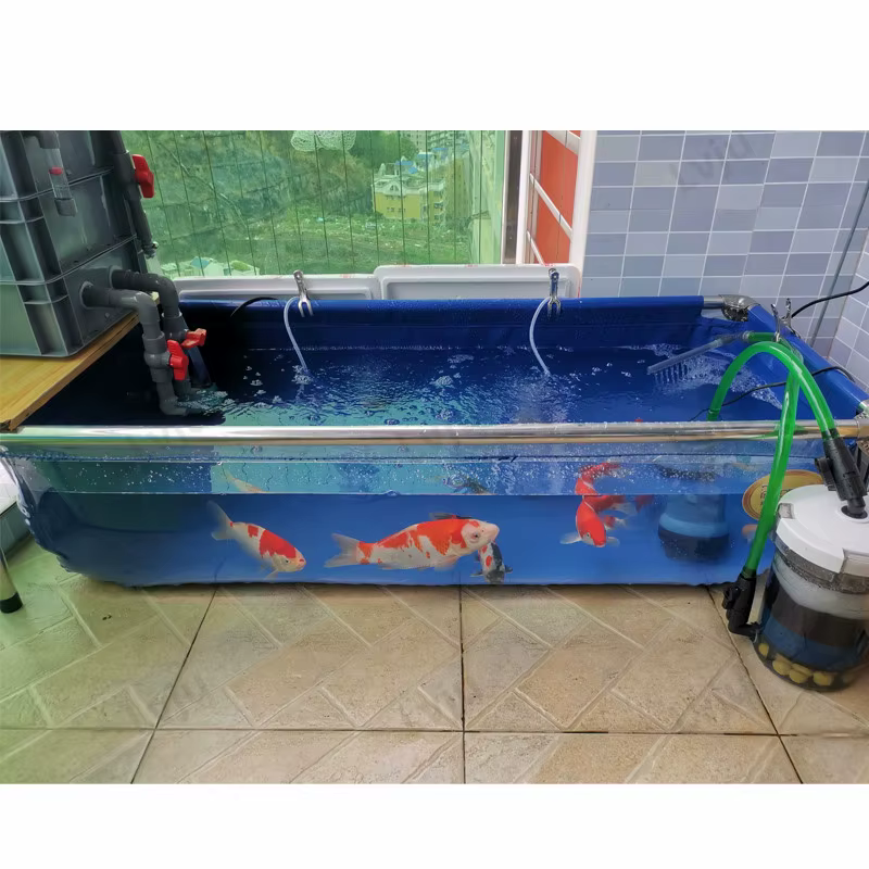 Tanque Completo para Peces Betta Accesorios de Acuario Marino — imagen 4