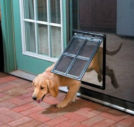 Cat Door Opening Pet Supplies Pet Door Dog Door Pet Screen Door Pet Dog Screen Door Screen Door Mosquito Free Access — image 1