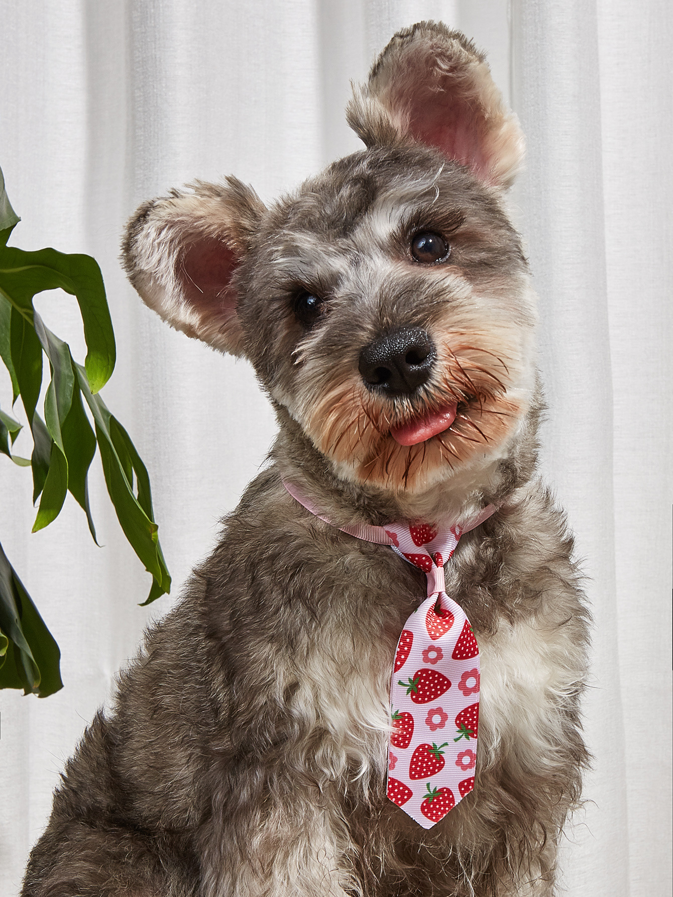 Colorful Bow Tie Pet Head Wear Puppy Bow Tie Pet Tie Cat And Dog Bow Tie Pet Bow Tie — image 2
