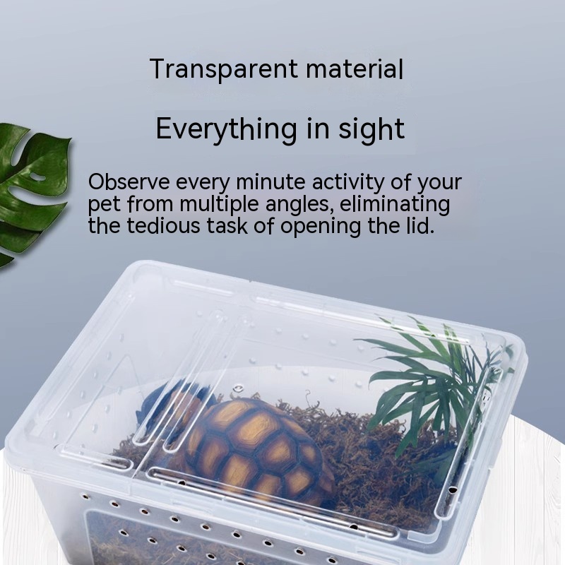 Caja para Alimentar Gusanos de Sedilla para Tortuga Pet — imagen 1