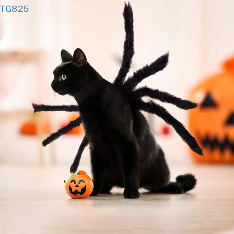 Disfraz de Araña para Mascotas: Transformación de Halloween con Ropa de Cosplay — imagen 5