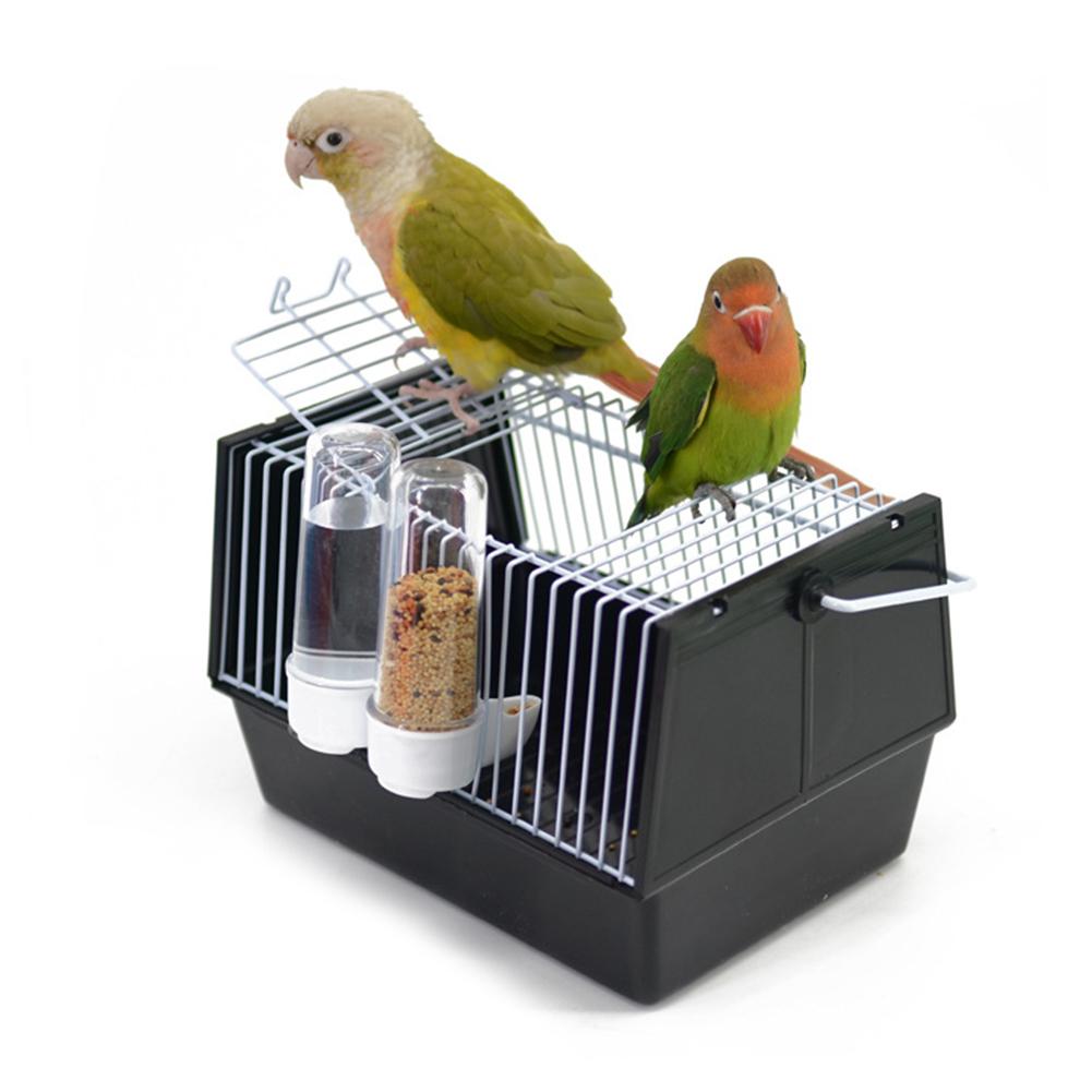 Out of the bird cage — image 7