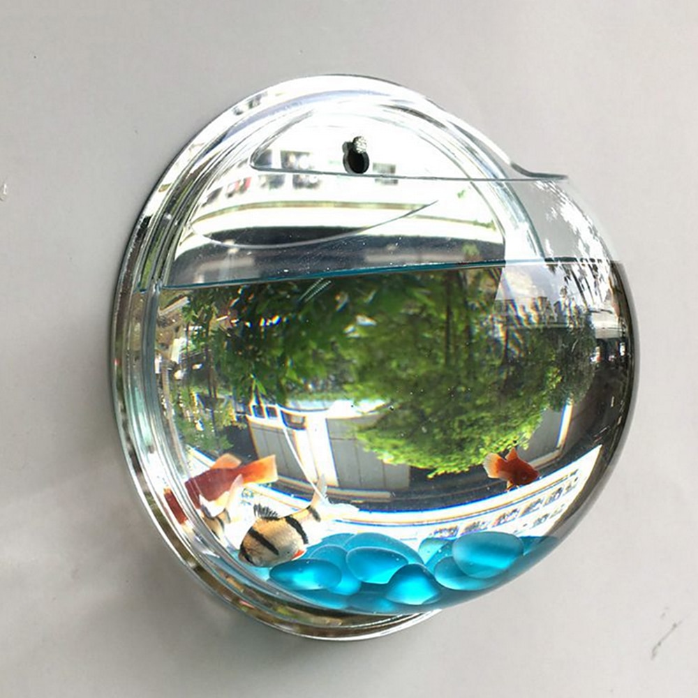 Pot Plant Wall Mounted Newest Hanging Decor Bubble Bowl Flowers Fish Tank Home Decor Aquarium Home Decoration Accessories — image 6