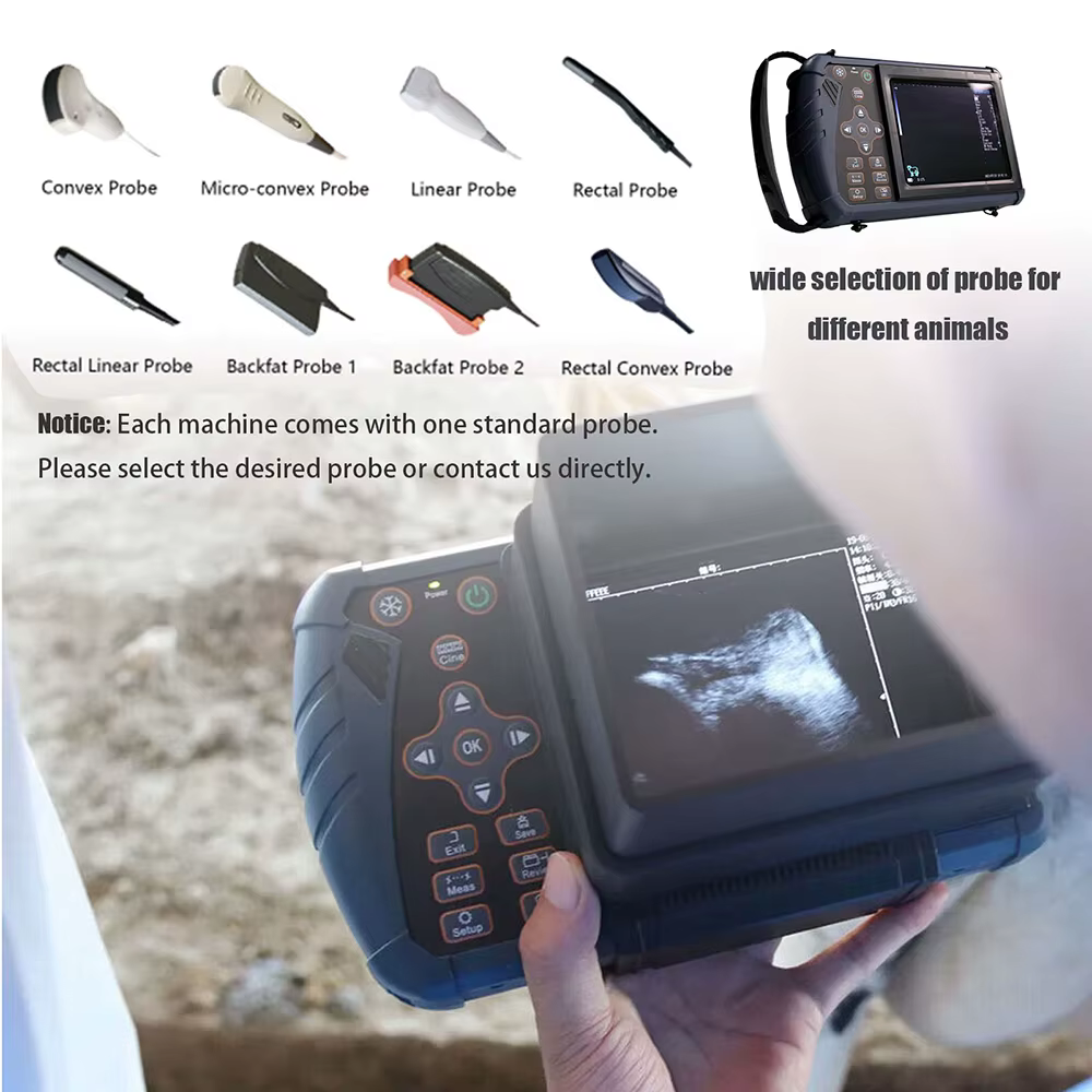 Portable Veterinary Ultrasound Scanner Vet B-Ultra Pregnancy Machine Handheld (B, BB, 4B, B+M, M) for Pig Sheep Cattle Horse Dog — image 6