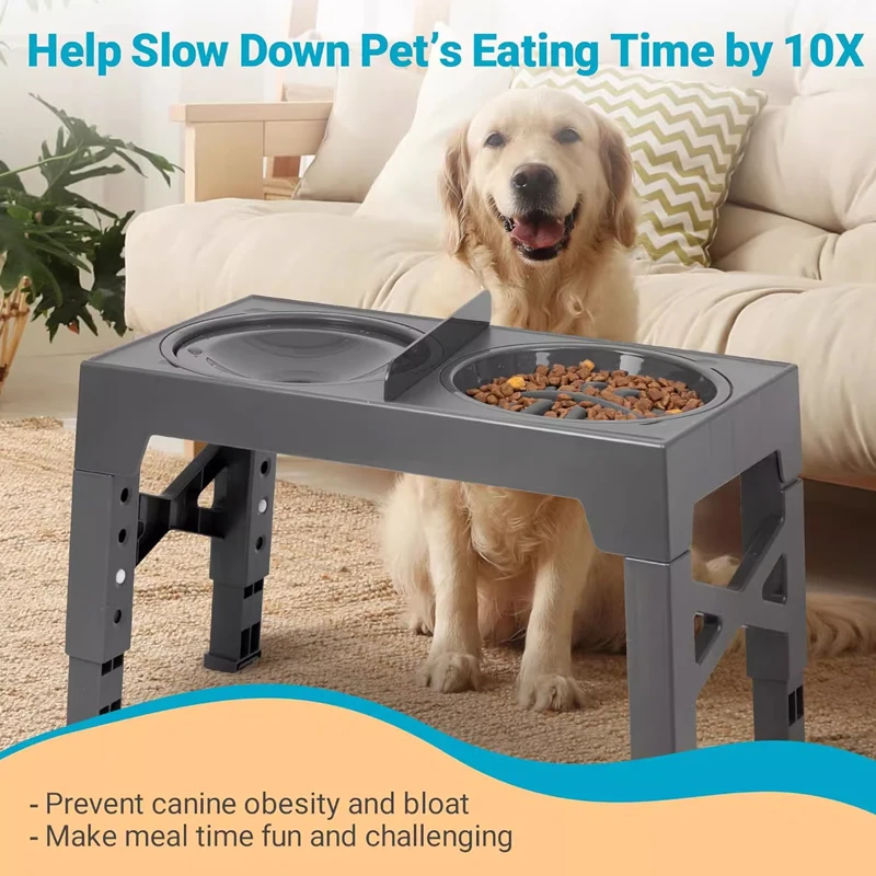 Elevated Dog Feeder with Adjustable Raised Stand, Slow Food Bowl, Water Feeders for Large and Medium Dogs — image 2
