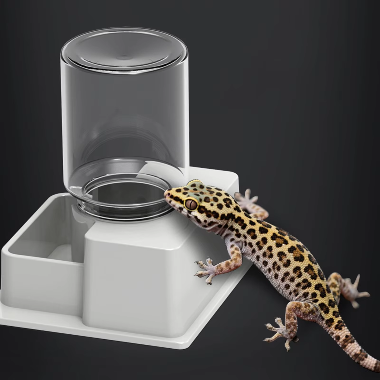Automatic Reptile Water Dish Reusable Container Creative Feeder Station Ornament Drinking Tool for Snakes Tortoise Geckos — image 3
