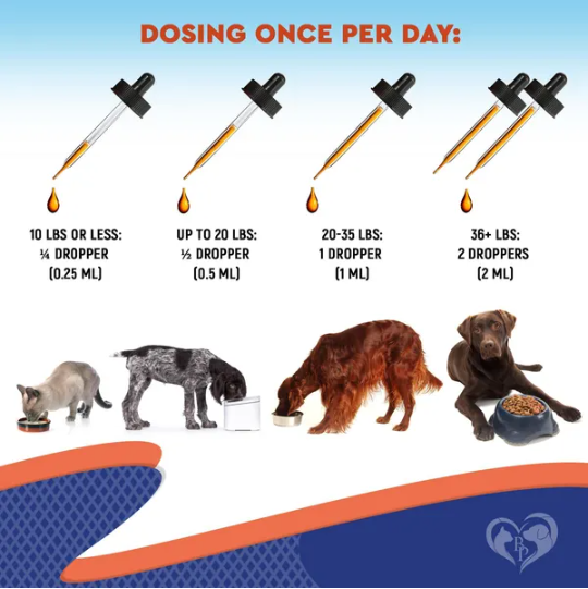 Suplementos Probióticos y Prebióticos con Enzimas para Perros y Gatos Salud Intestinal Completa Alimentos de Animales de Compañía — imagen 1