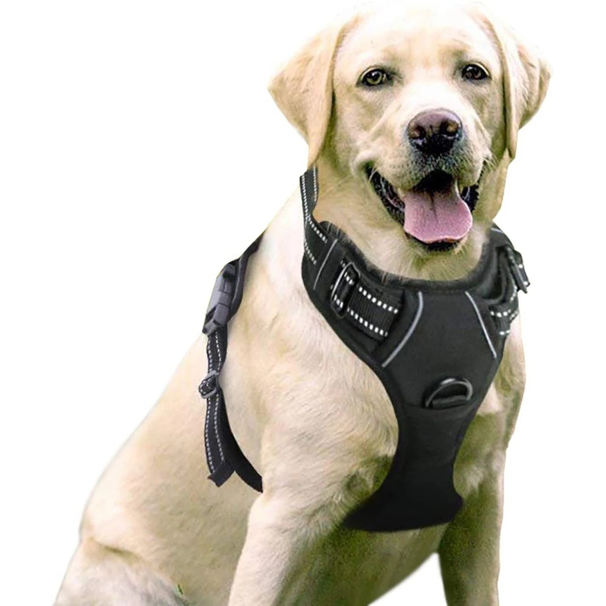 Cinturón de Pecho para Perros con Cierre Antichar y Cordel de Traction — imagen 2