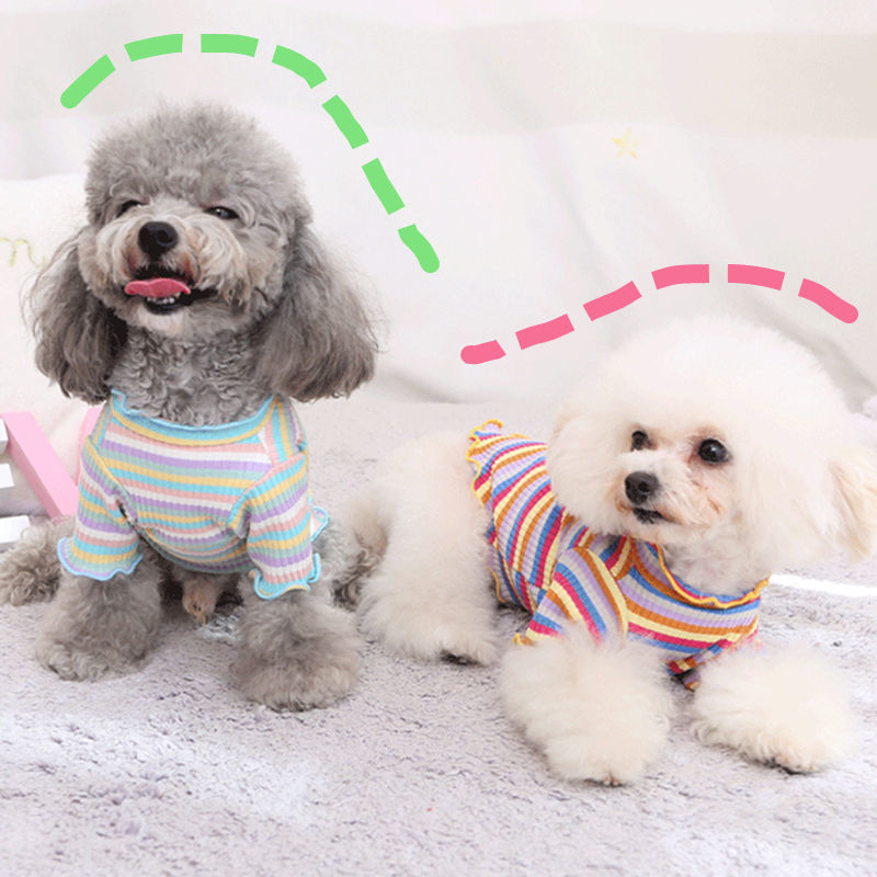 Rainbow Undercoat Dog Clothes Pet Clothes Cat Bears VIP Pomeranian Schnauzer Small Dog Clothes — image 1