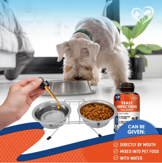 Tratamiento Natural para Infecciones de Levaduras en Perros - Alivio de Picazón y Alergias, Reducción de Inflamación — imagen 4