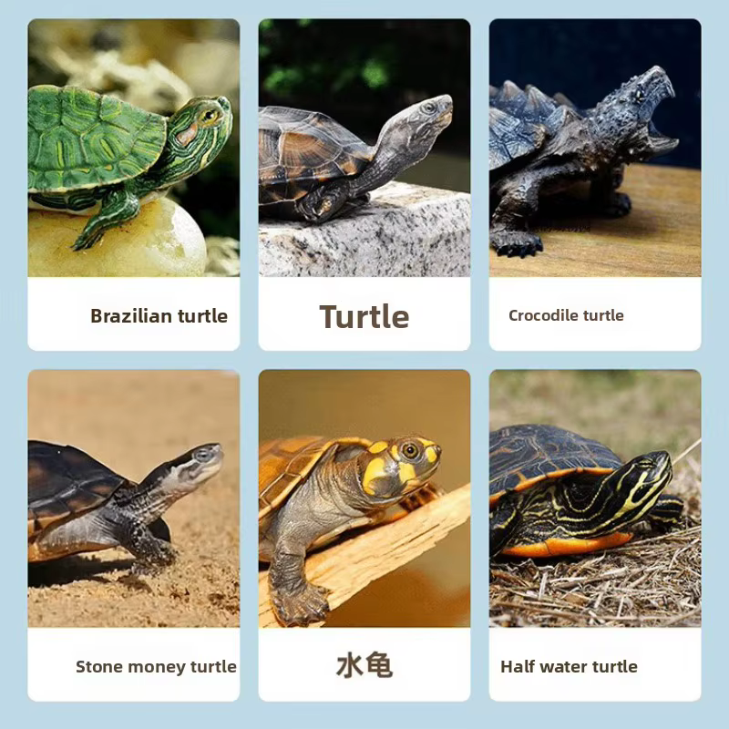 Golosinas congeladas de pescado fresco de agua dulce Nai Chong - Tratamientos naturales para tortugas, gatos, perros y pequeños animales - Suplemento nutricional — imagen 6