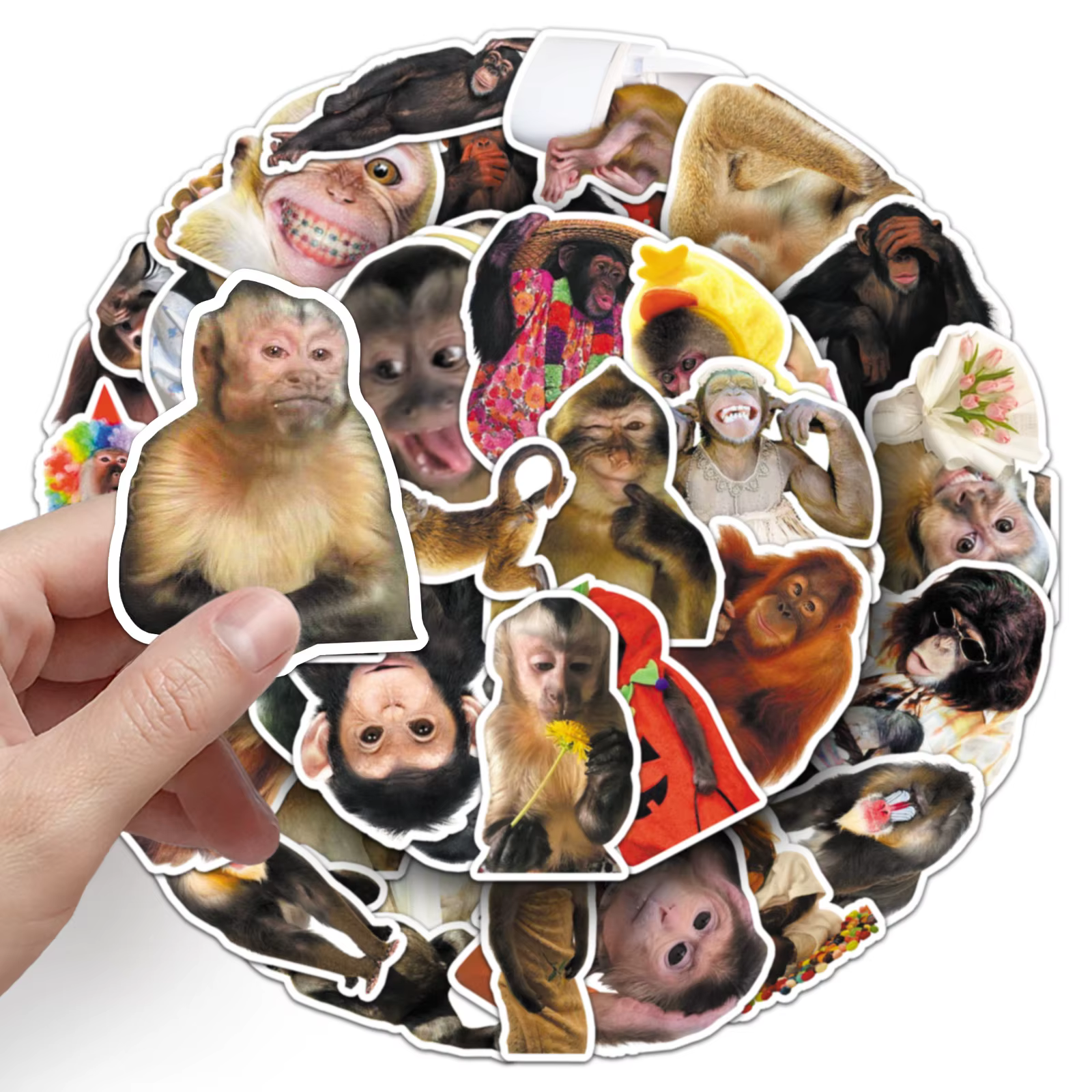 50PCS Funny Monkey Chimpanzees Meme Stickers Realistic Graffiti Decoration DIY Notebook Suitcase Guitar Refrigerator Toys Decals — image 4