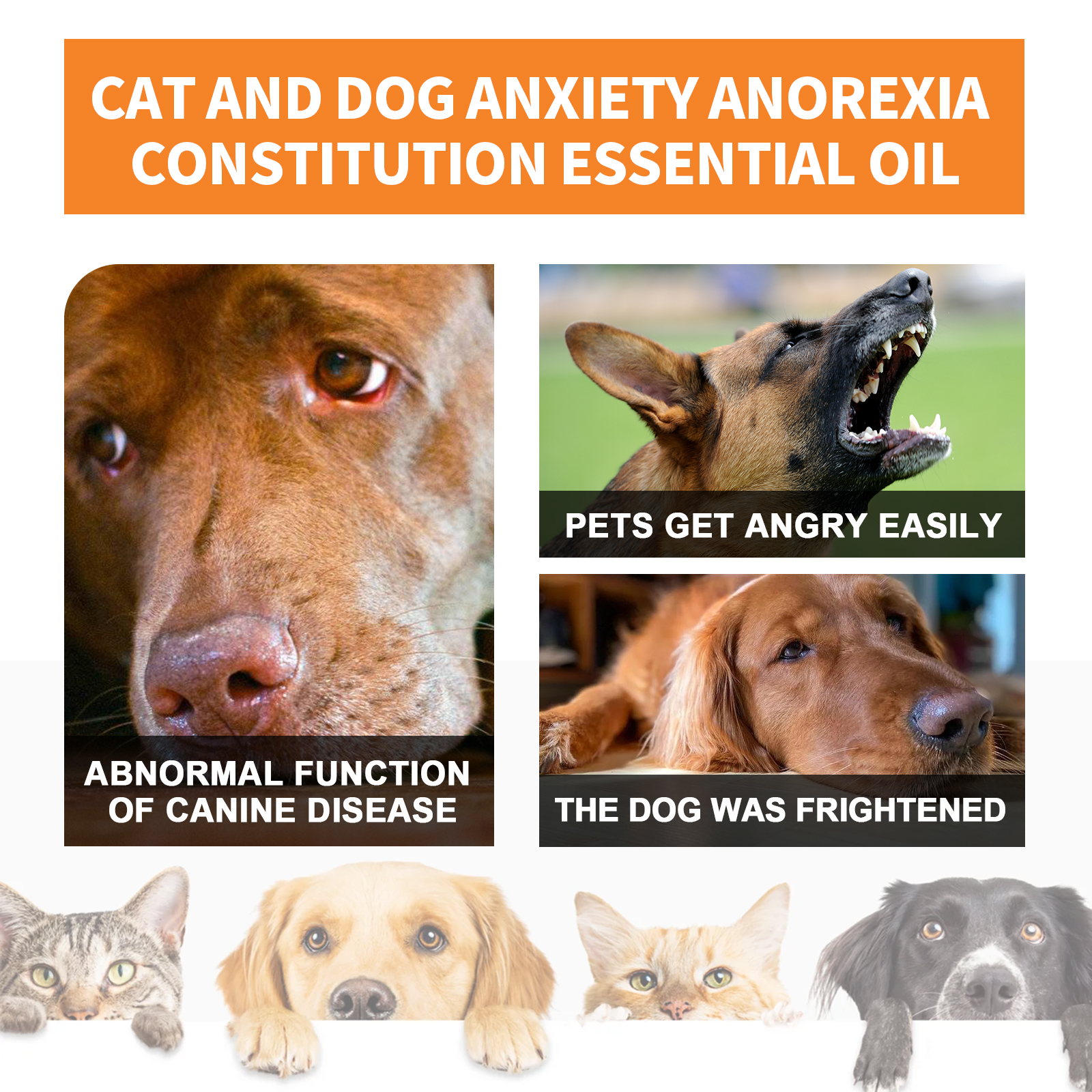 Yegbong Cat And Dog Care Essence, Pet Cat And Dog Enhance Health Eat Care Sesame Seed Oil Essence — image 5