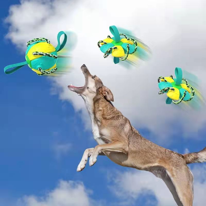 Pet Supplies Throwing Frisbee Outdoor Training Interactive Frisbee Football Dog Toy — image 1