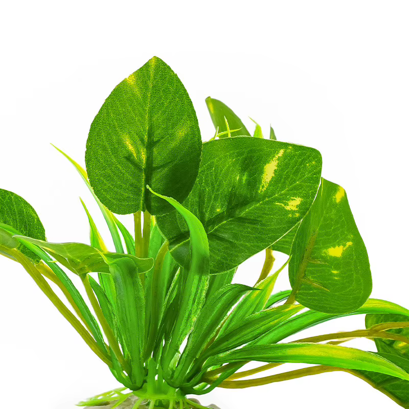 Planta Acuática Artificial para Reptiles – Hoja Decorativa de Simulación de 10cm de Altura para Terrario, Escondite para Lagartos y Tortugas — imagen 4