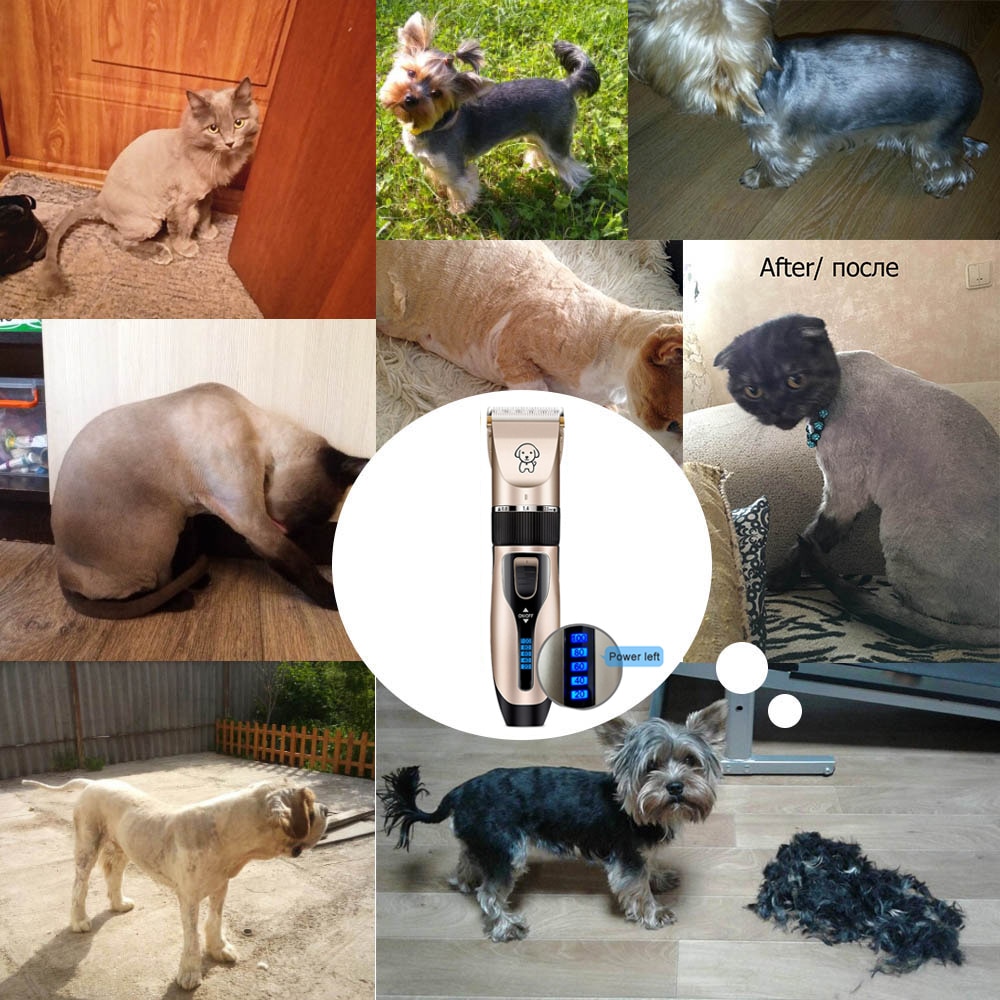 Pet Cat Dog clippers professional Dogs grooming clipper groomer kit USB Rechargeable Low-noise Pets Hair Trimmer Display battery — image 3