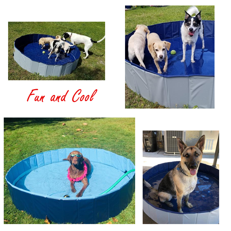 Foldable Dog Pool Pet Bath Summer Outdoor Portable Swimming Pools Indoor Wash Bathing Tub Collapsible Bathtub for Dogs Cats Kids — image 2